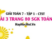 Giải bài 3 trang 80 Toán 7 Tập 1 SGK Chân trời sáng tạo
